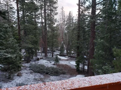 20190515_193950 (Large).jpg